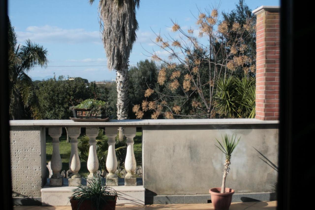 Il Tuffatore B&B Capaccio Bagian luar foto