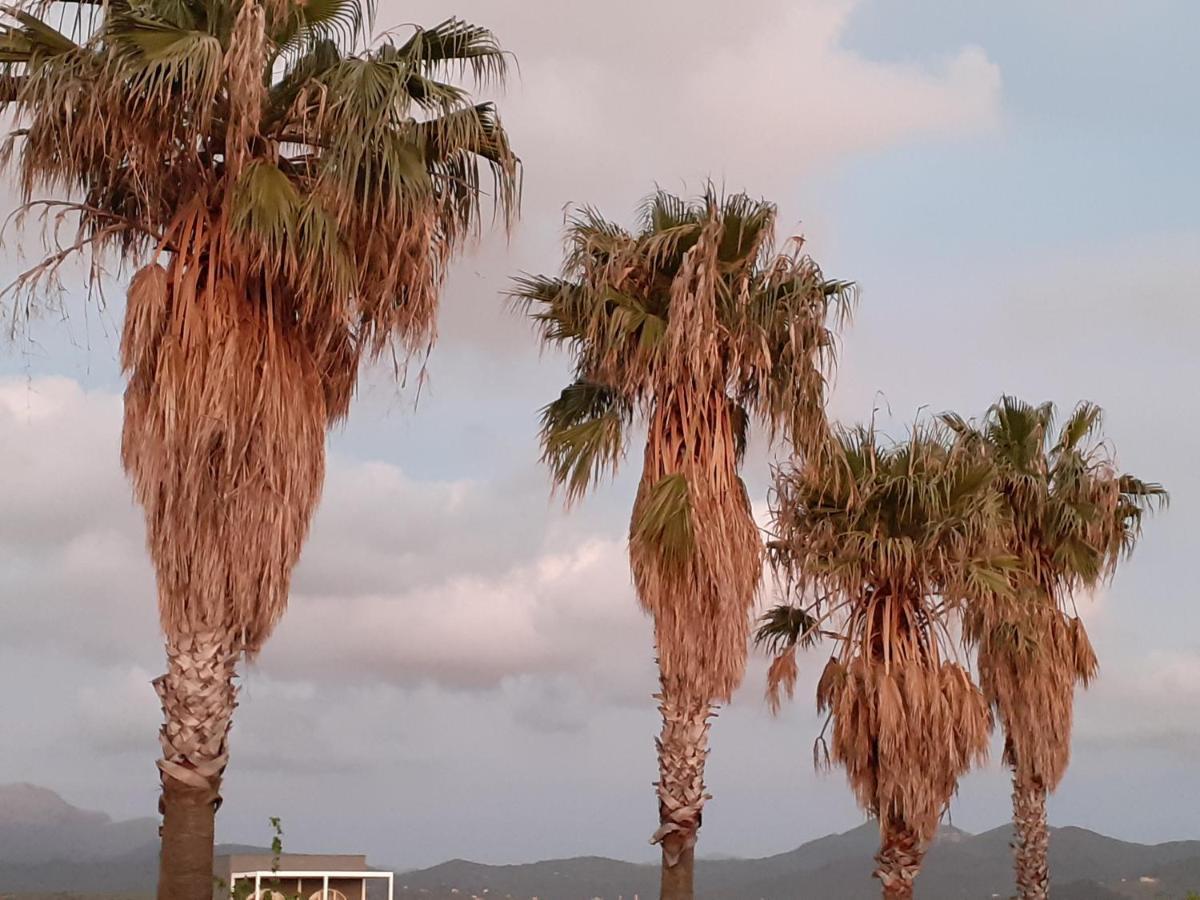 Il Tuffatore B&B Capaccio Bagian luar foto
