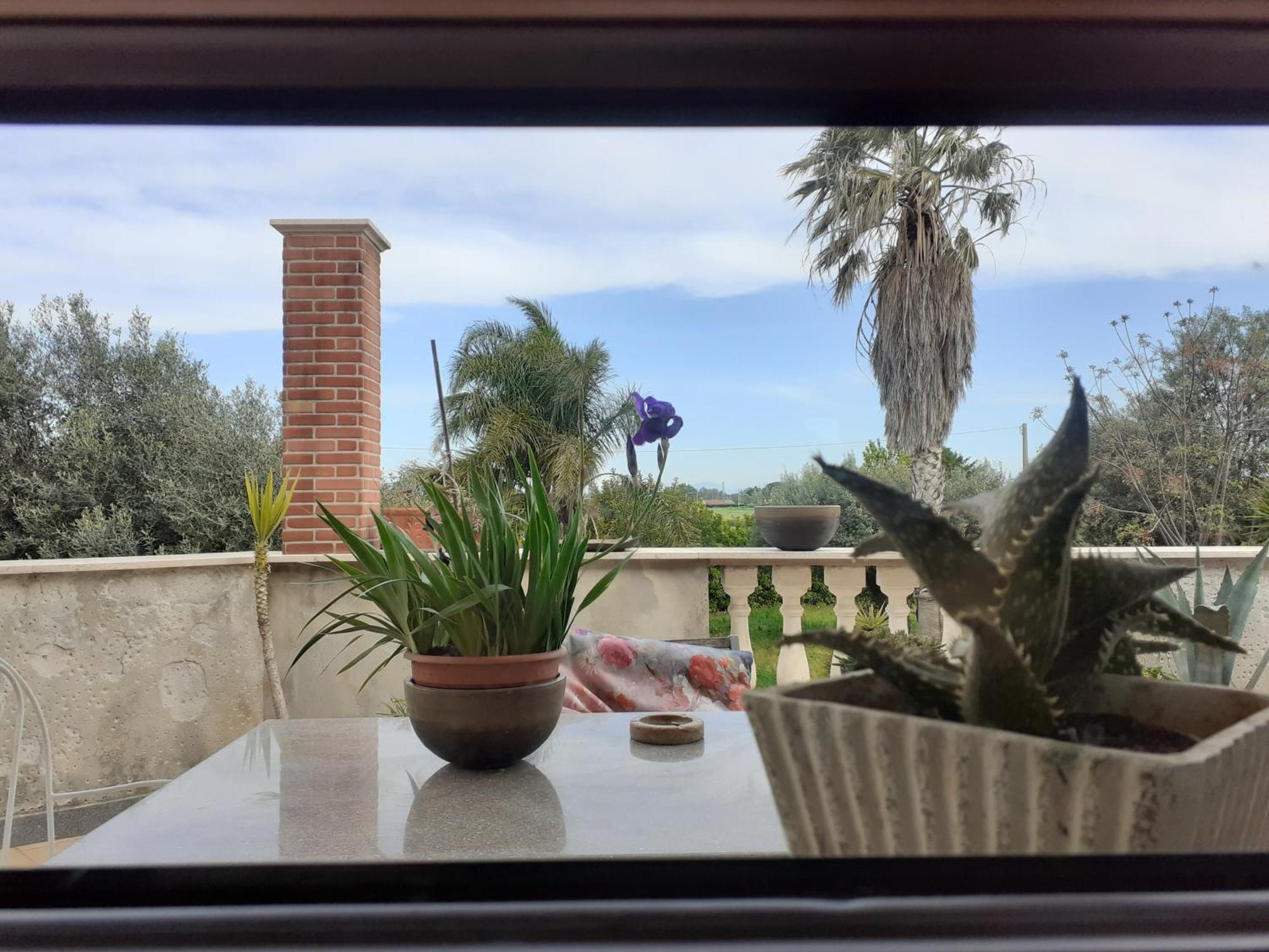 Il Tuffatore B&B Capaccio Bagian luar foto