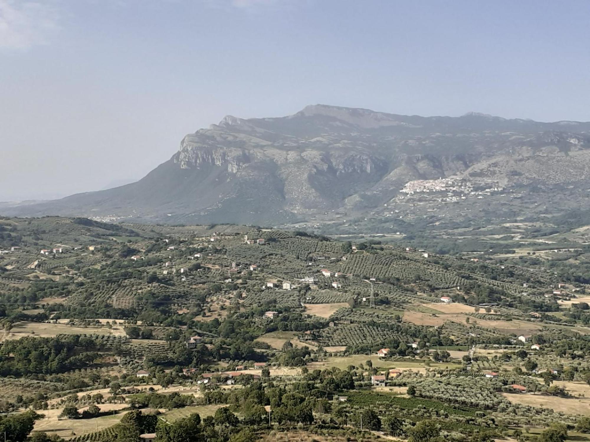 Il Tuffatore B&B Capaccio Bagian luar foto