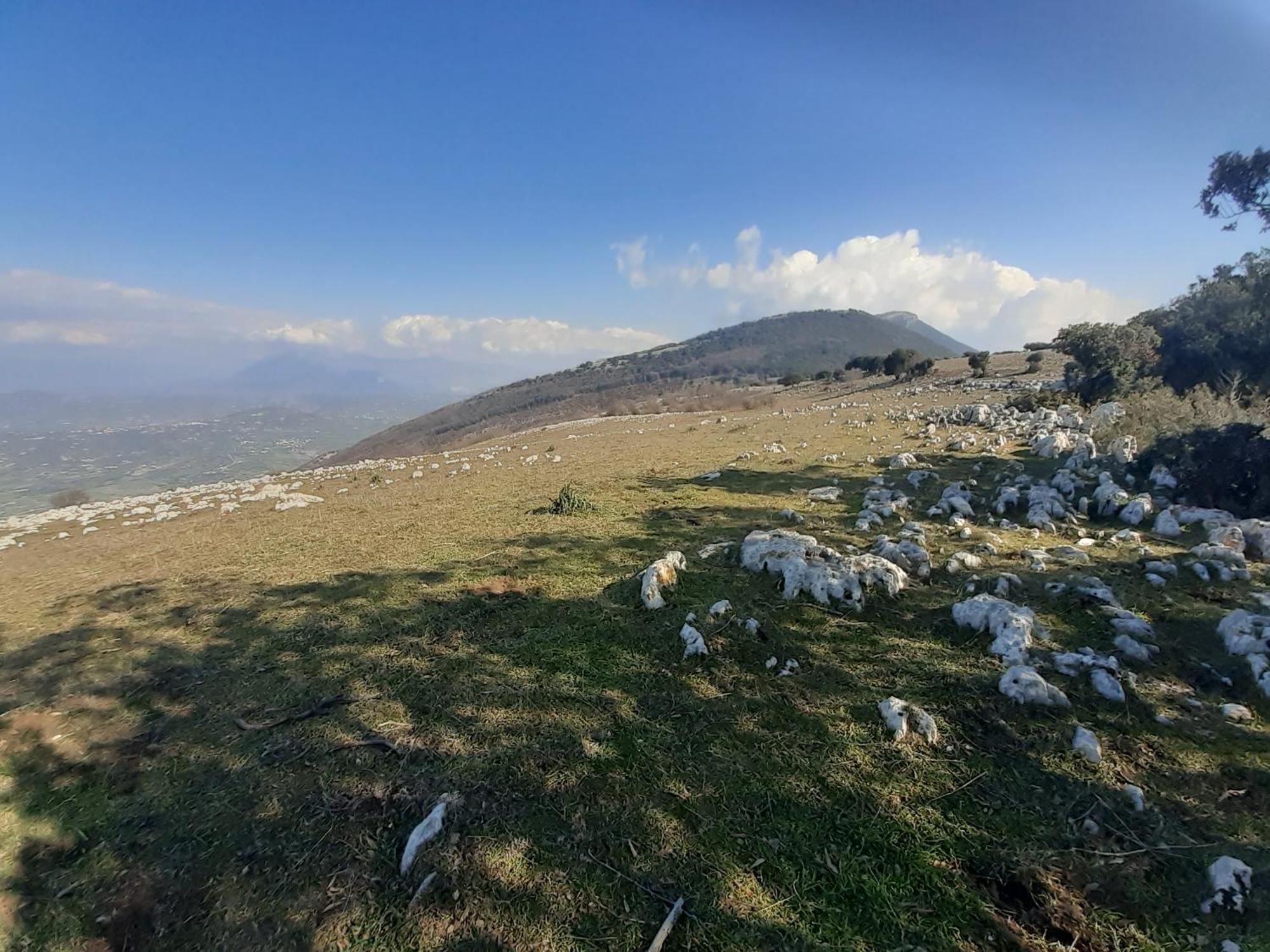 Il Tuffatore B&B Capaccio Bagian luar foto